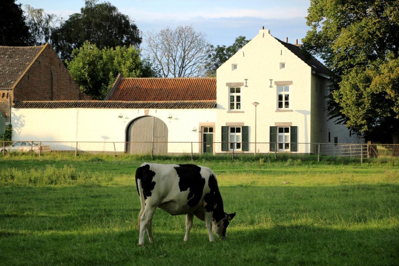 La Vache Contente Appartement *